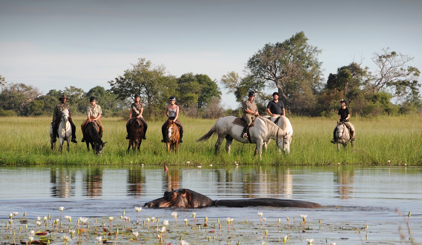 African Horseback Safaris Horses on waters edge with hippo optimised -