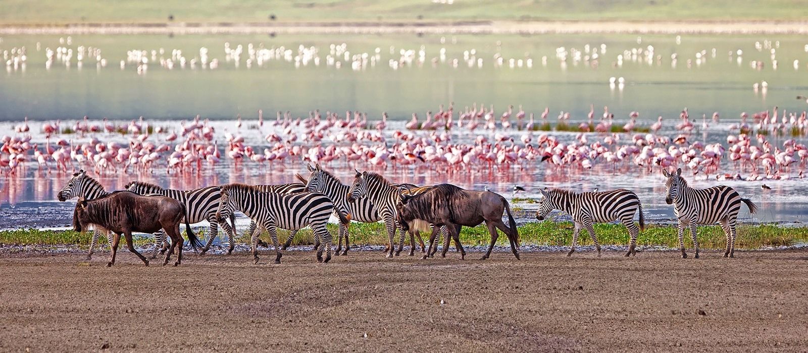 Lake Manyara -