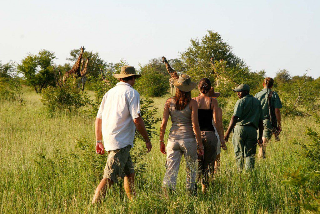 Rhino walking safaris 1024x683 1 -