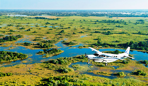 okavango delta flight fp 1 -