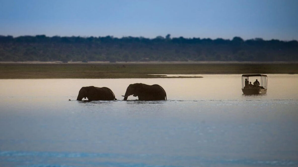 Saadani National Park 3 1160x676 1 1200x675 1 -