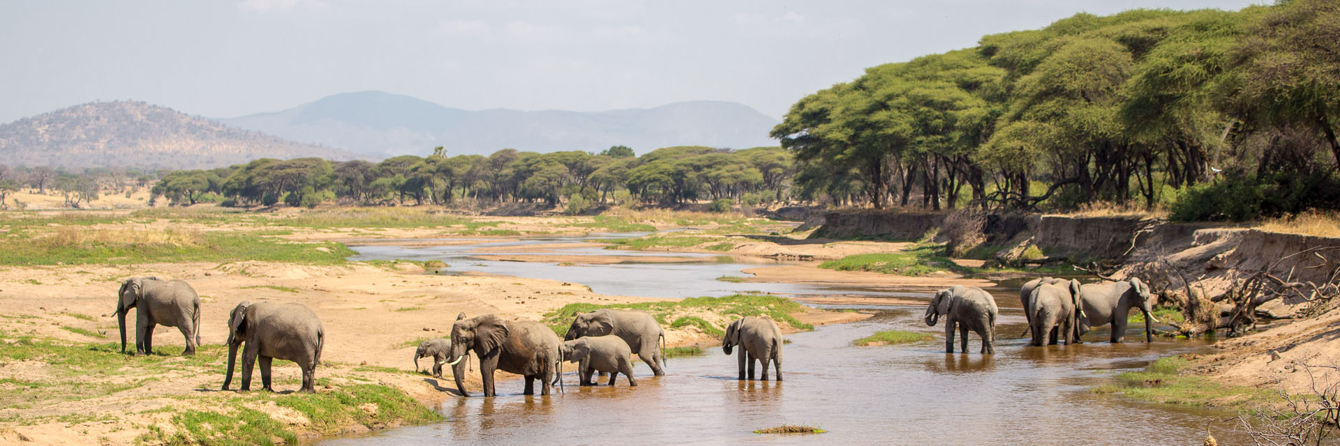 Ruaha National Park 1 -