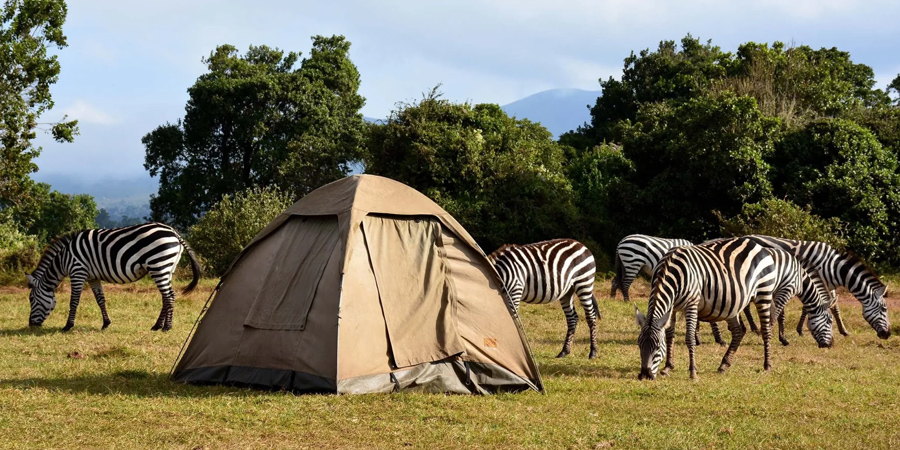 camping serengeti -