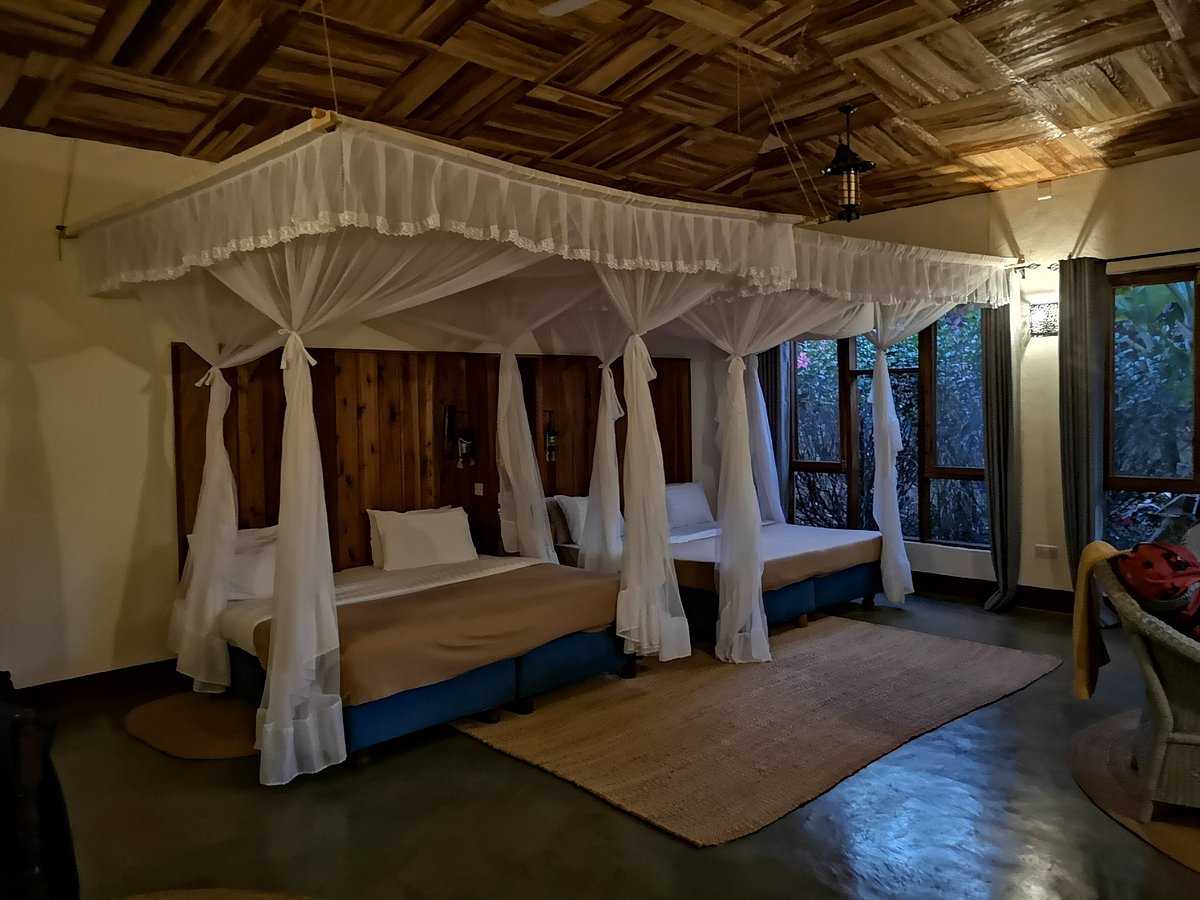 pamoja africa lodges -