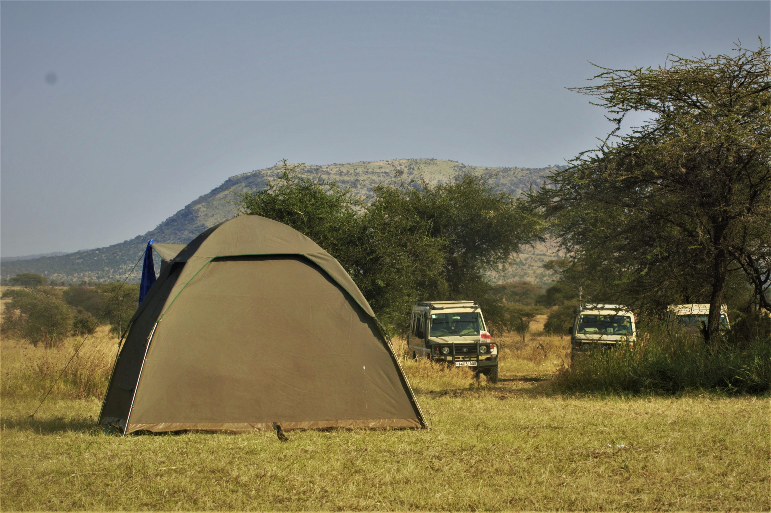 serengeti camping -