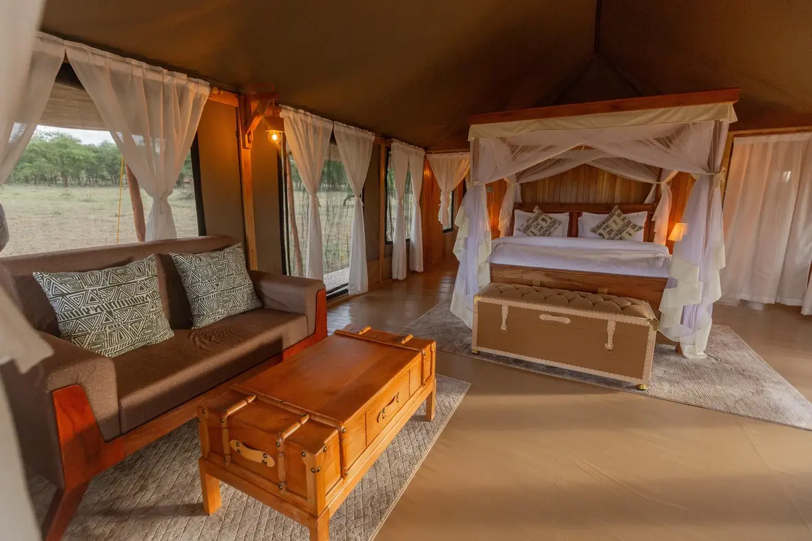 sinature serengeti camp 1 -