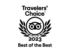 tripadvisor travelers choice 2023 best of best1335.logowik.com 1 -